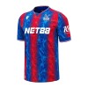 Conjunto (Camiseta+Pantalón Corto) Crystal Palace Primera Equipación 2024-25 - Niño